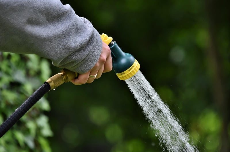 Gardening Projects